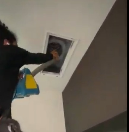 Mold Remediation Houston